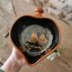 Alsatian Caquelon Bowl, Robert Hausser's love birds