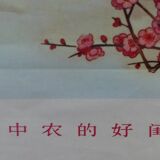 Chinese propaganda poster