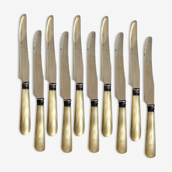 10 beige knives