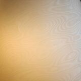 Lamps 2 white cracked ceramic foot fires