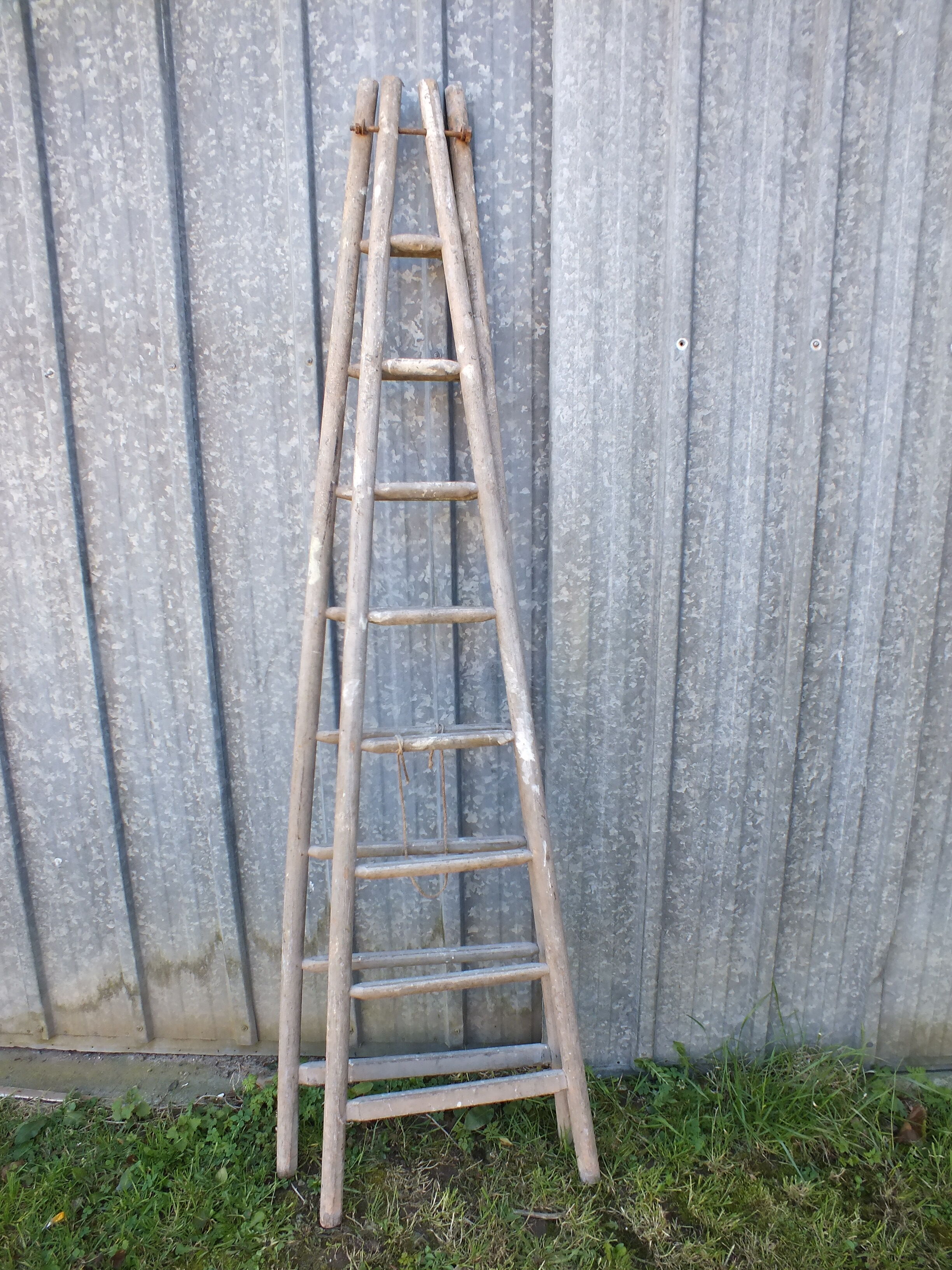 Former scale painter