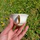 Tasses x6 - Porcelaine de Limoges