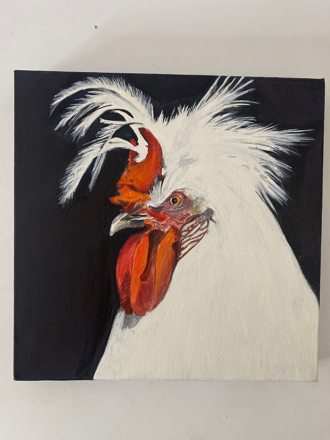 Coq - contemporary oil painting on canvas