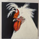 Coq - contemporary oil painting on canvas