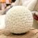 Shell table lamp