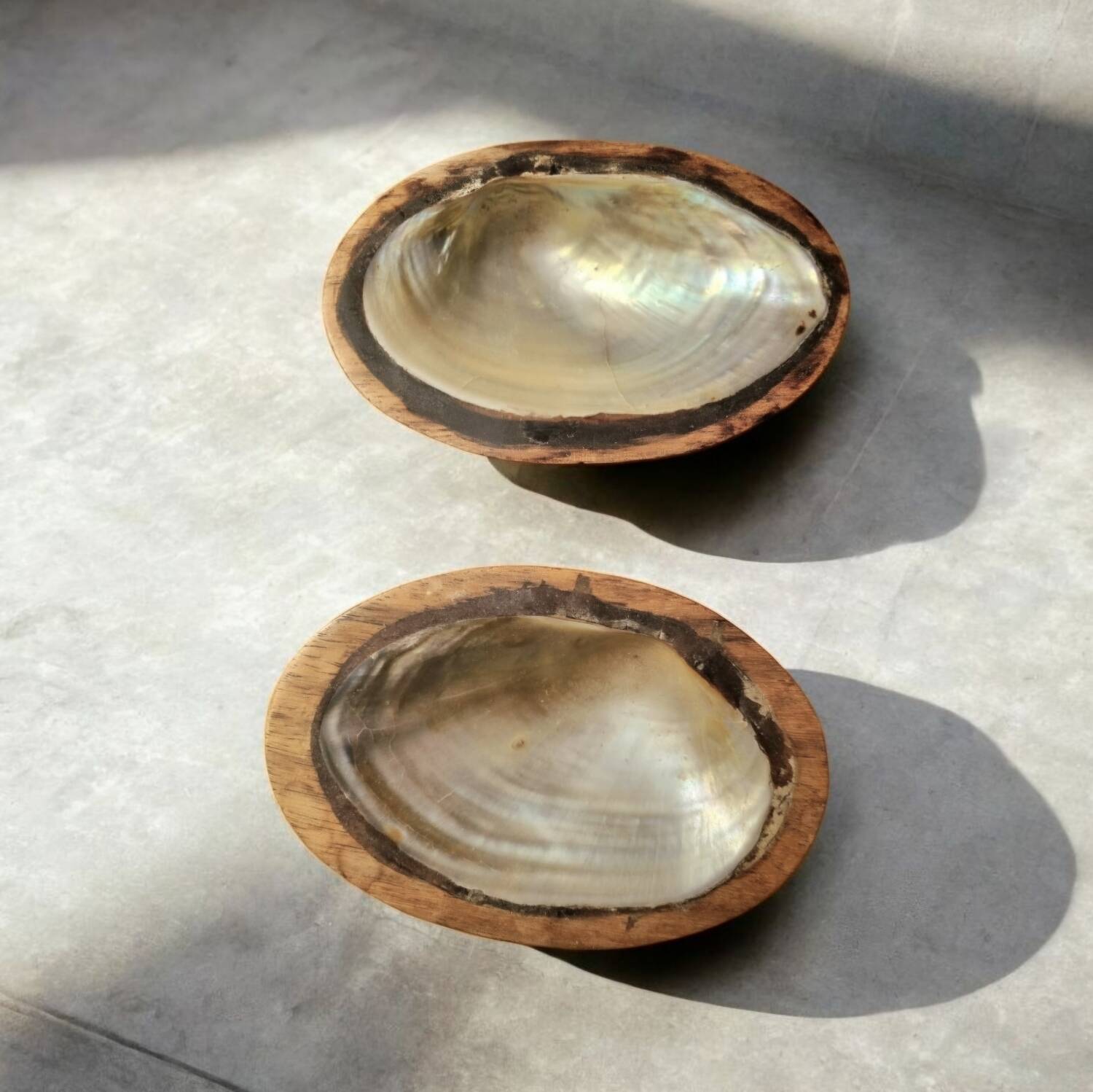 Pair of pocket emptiers or soap dishes