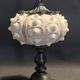 Cabinet of Curiosities imperial sea urchin Phyllacanthus imperialis on a base