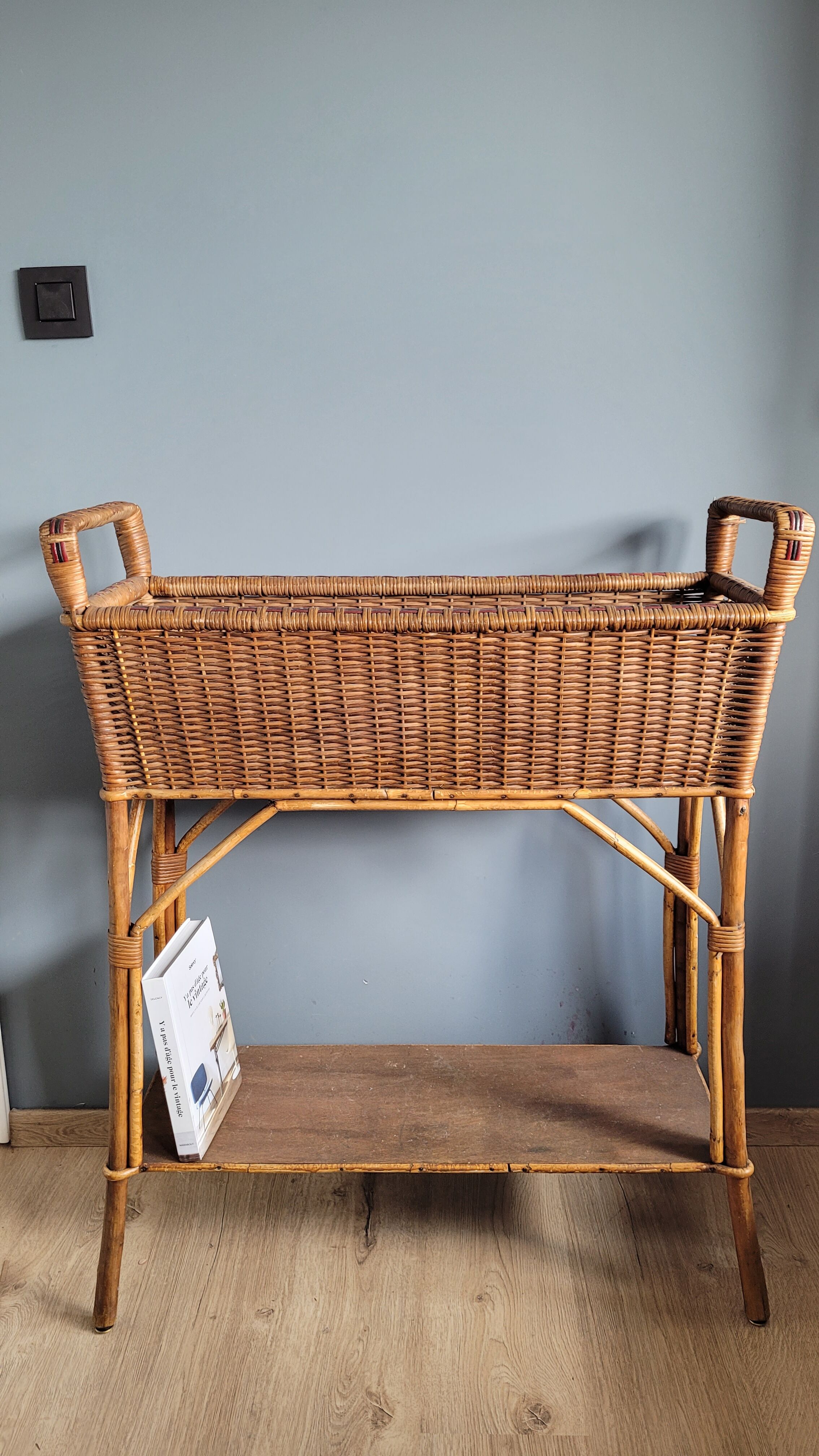 Planter door rattan plant