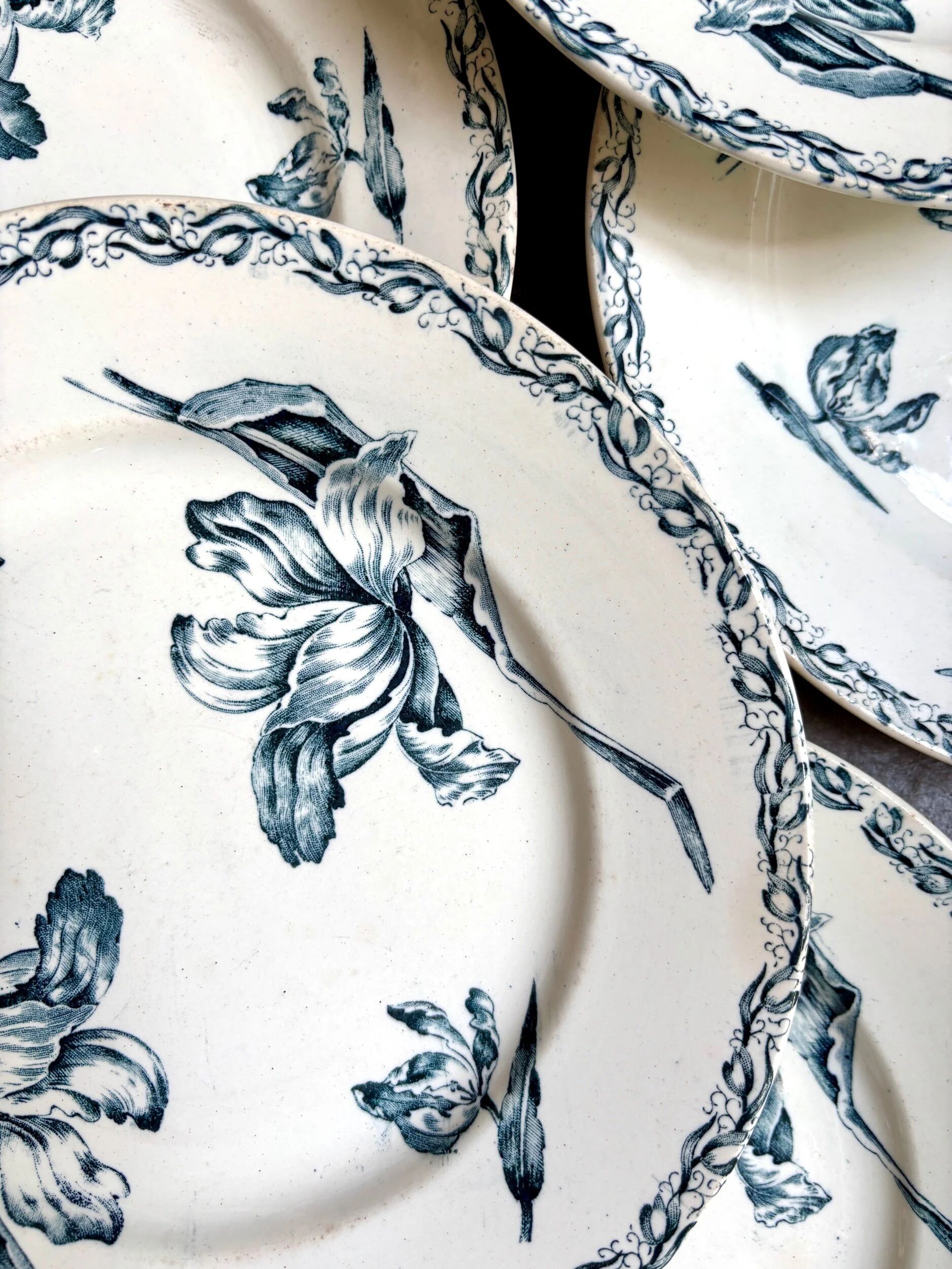 6 flat plates Lunéville in blue ironstone, "Tulip" service
