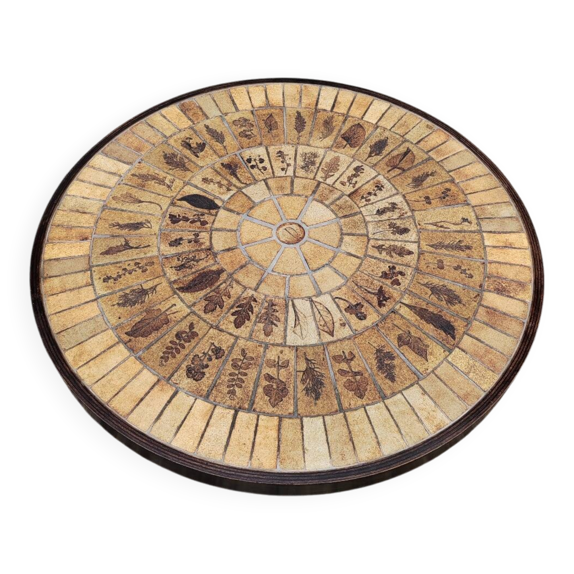 Herbarium coffee table Capron