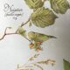 Botanical engraving precious herbal teas framed