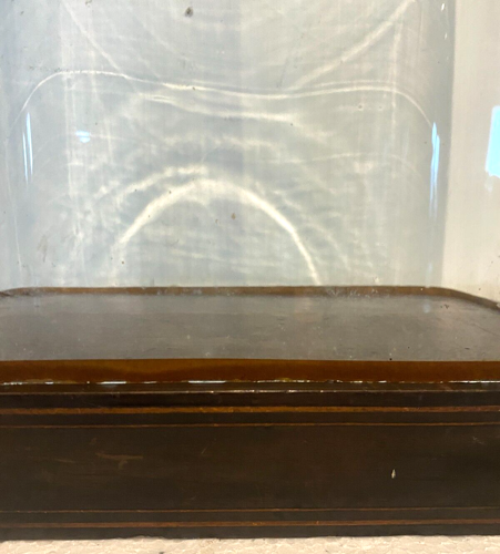 Globe en verre soufflé socle en bois noirci XIX siècle