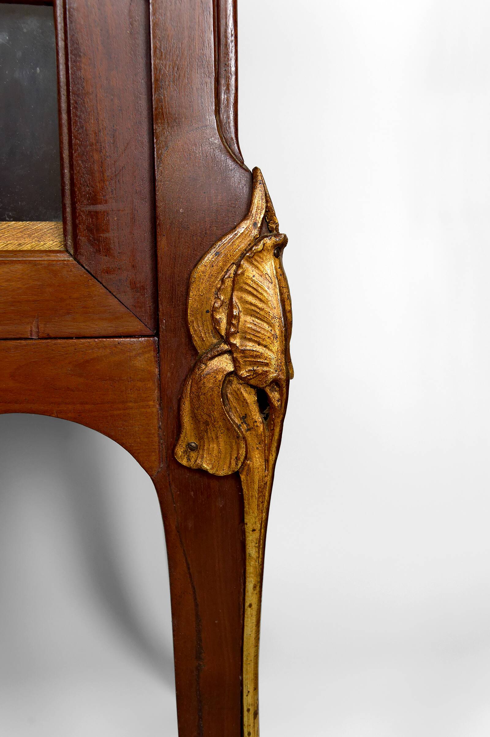 Art Nouveau display case, bronzes and carved wood on a floral theme, circa 1900