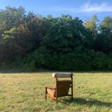 Brazilian rosewood armchair from the 60s, Tônico