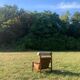 Brazilian armchair rosewood Rio 1960s Tônico