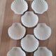 9 scallop shells in glazed stoneware