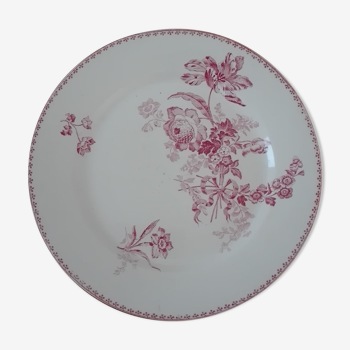 Lot de 6 assiettes plates