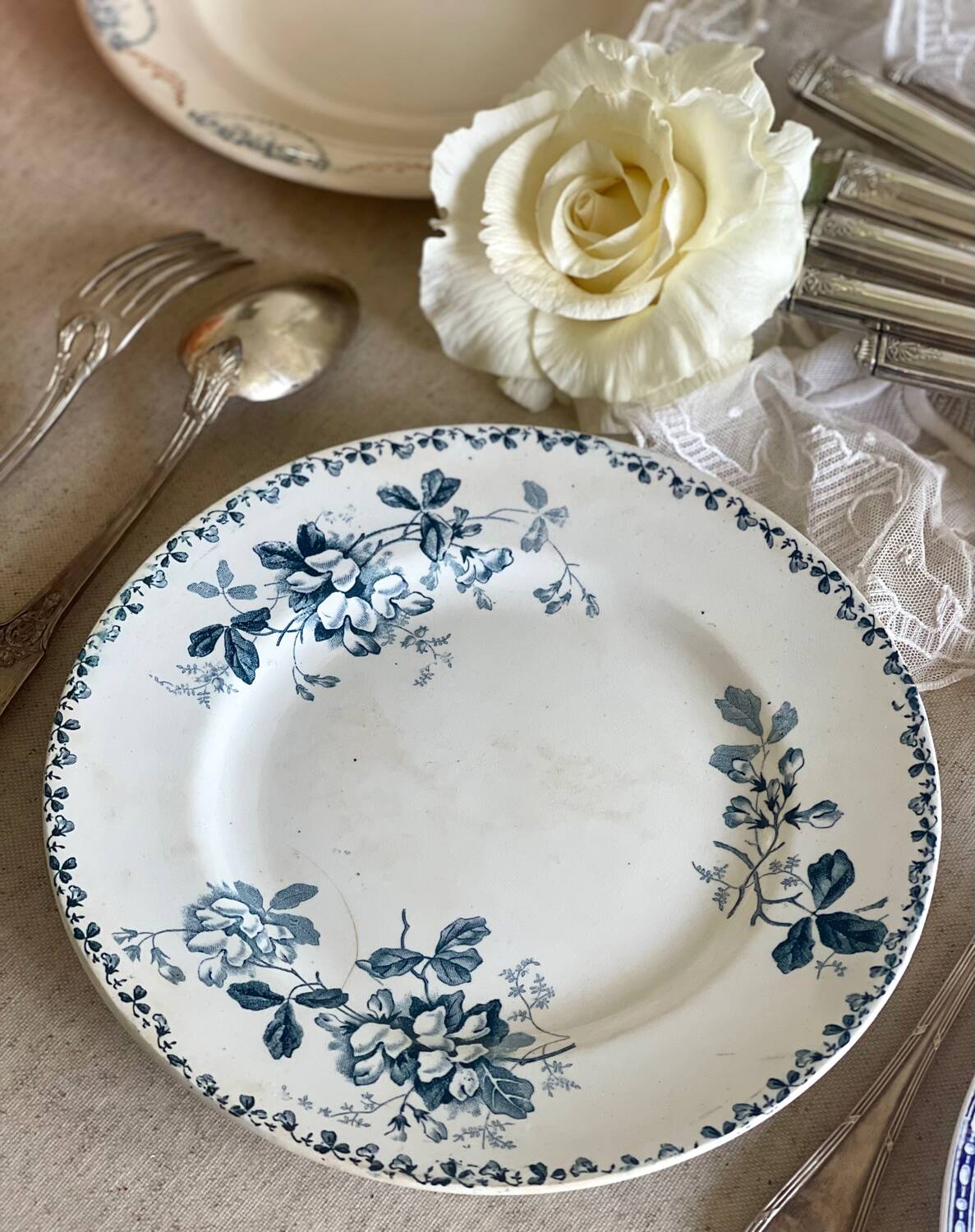 9 mismatched blue ironstone plates