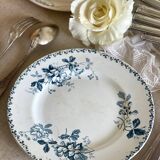 9 mismatched blue ironstone plates