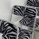 6 zebra folding chairs
