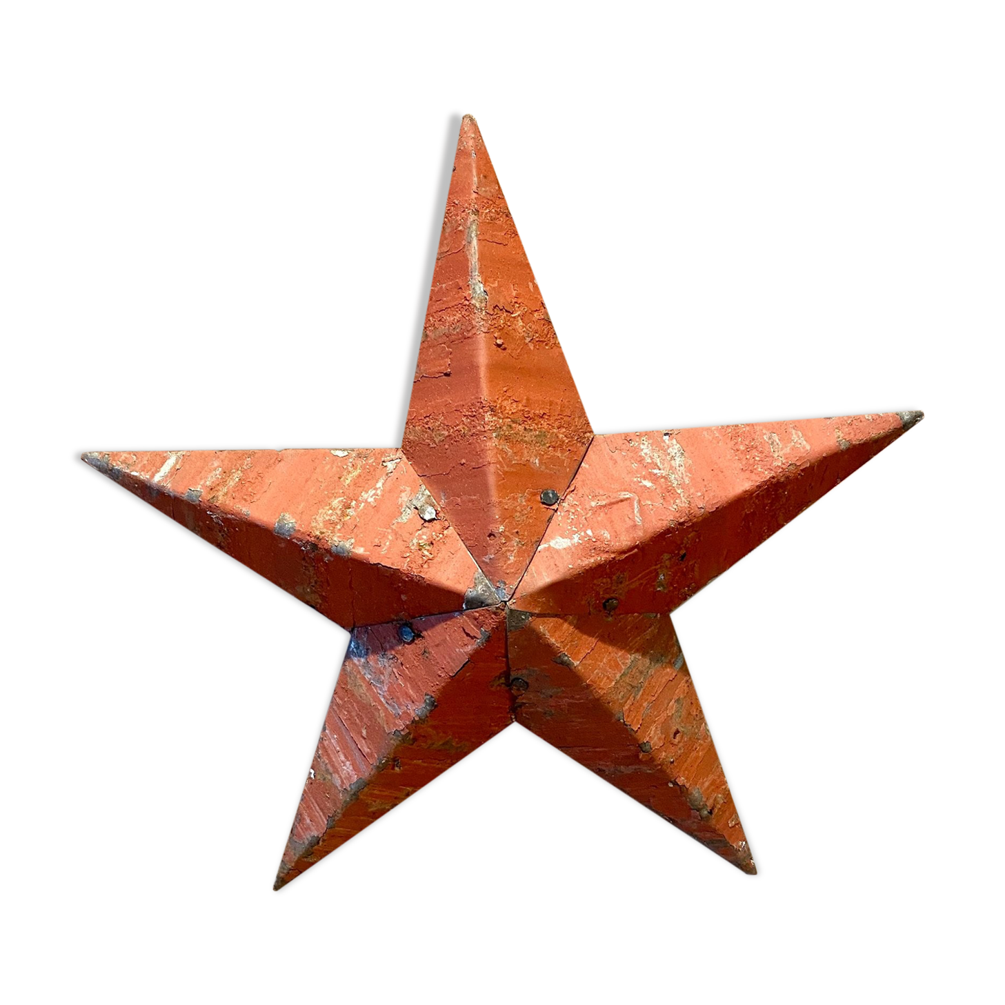 Star amish red 30cm