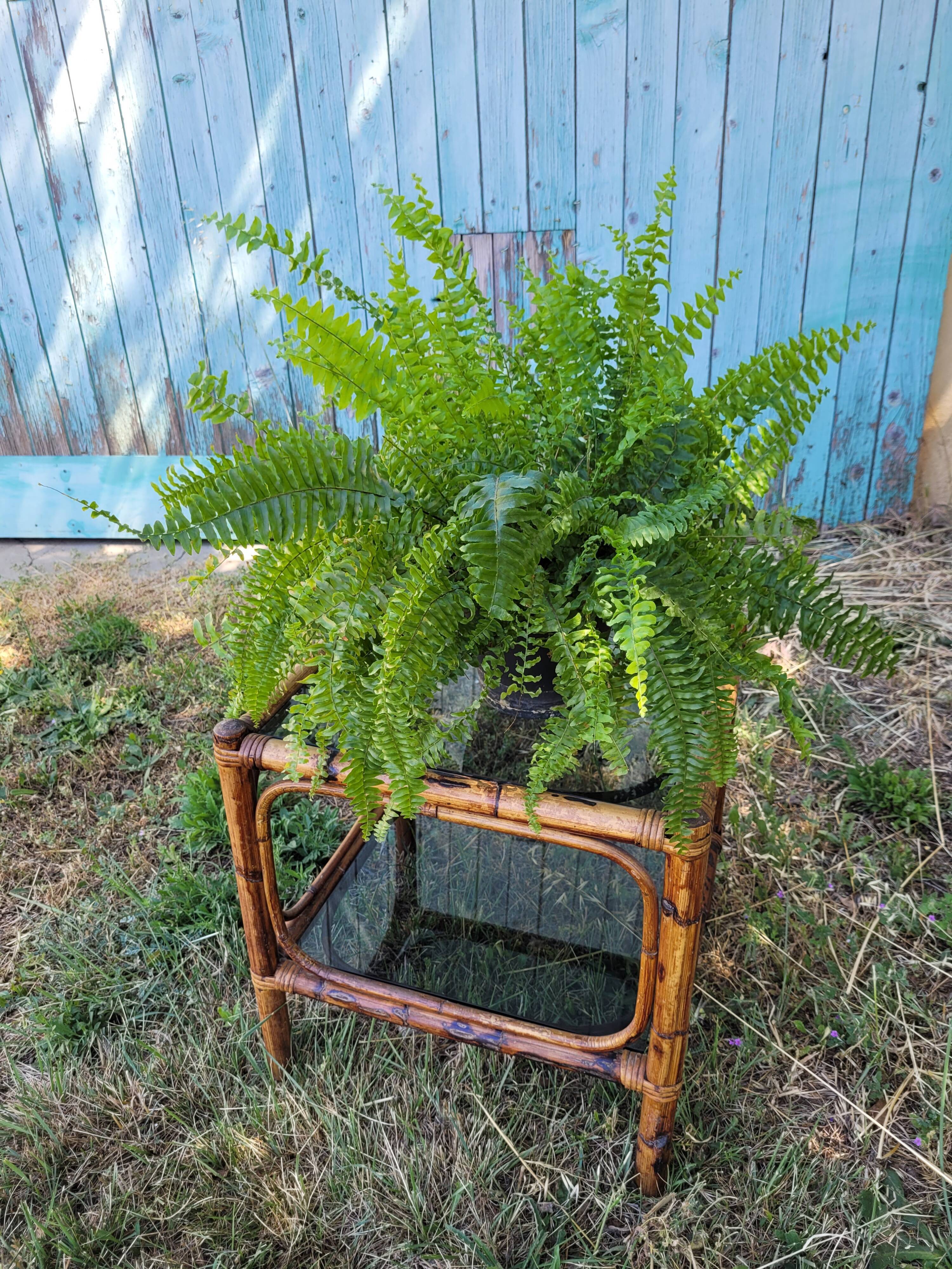 Rattan coffee table and smoked glass