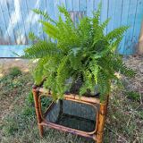 Rattan coffee table and smoked glass