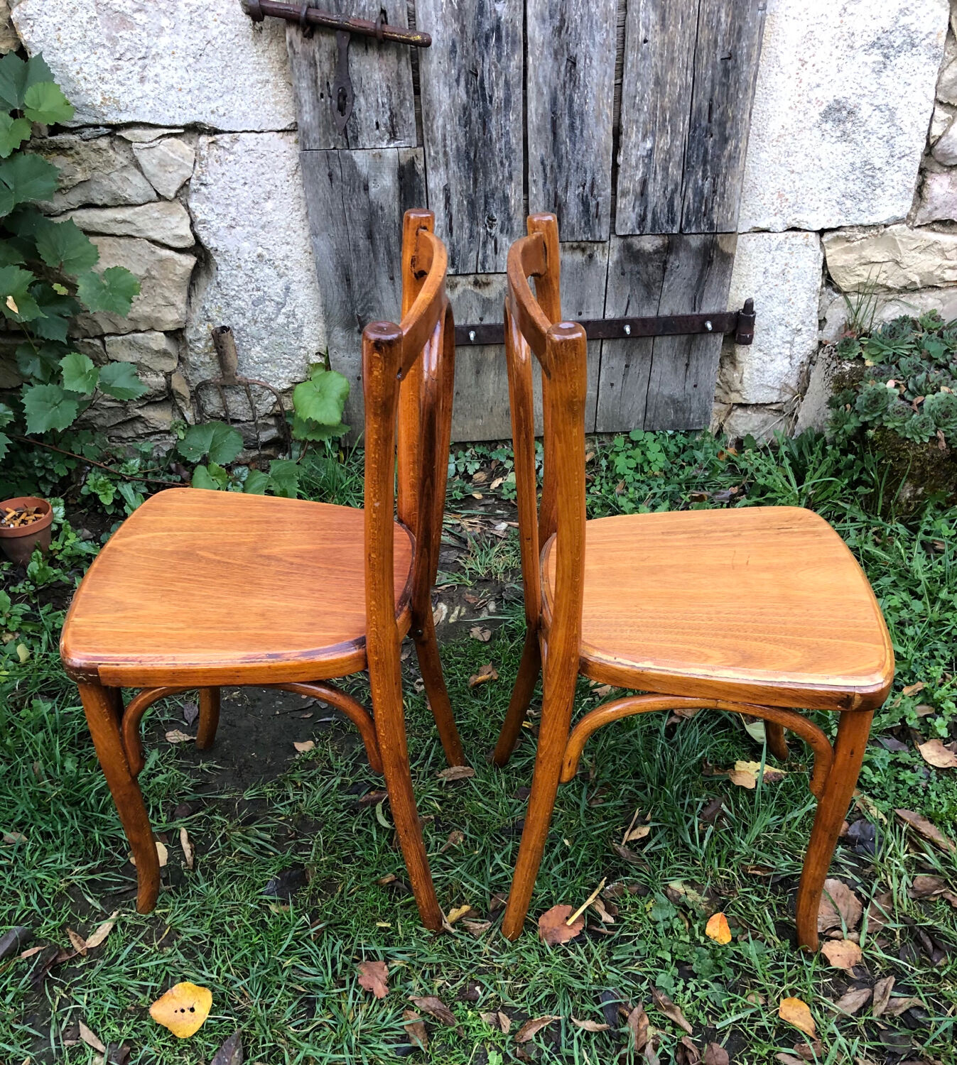 Varnished bistro chairs