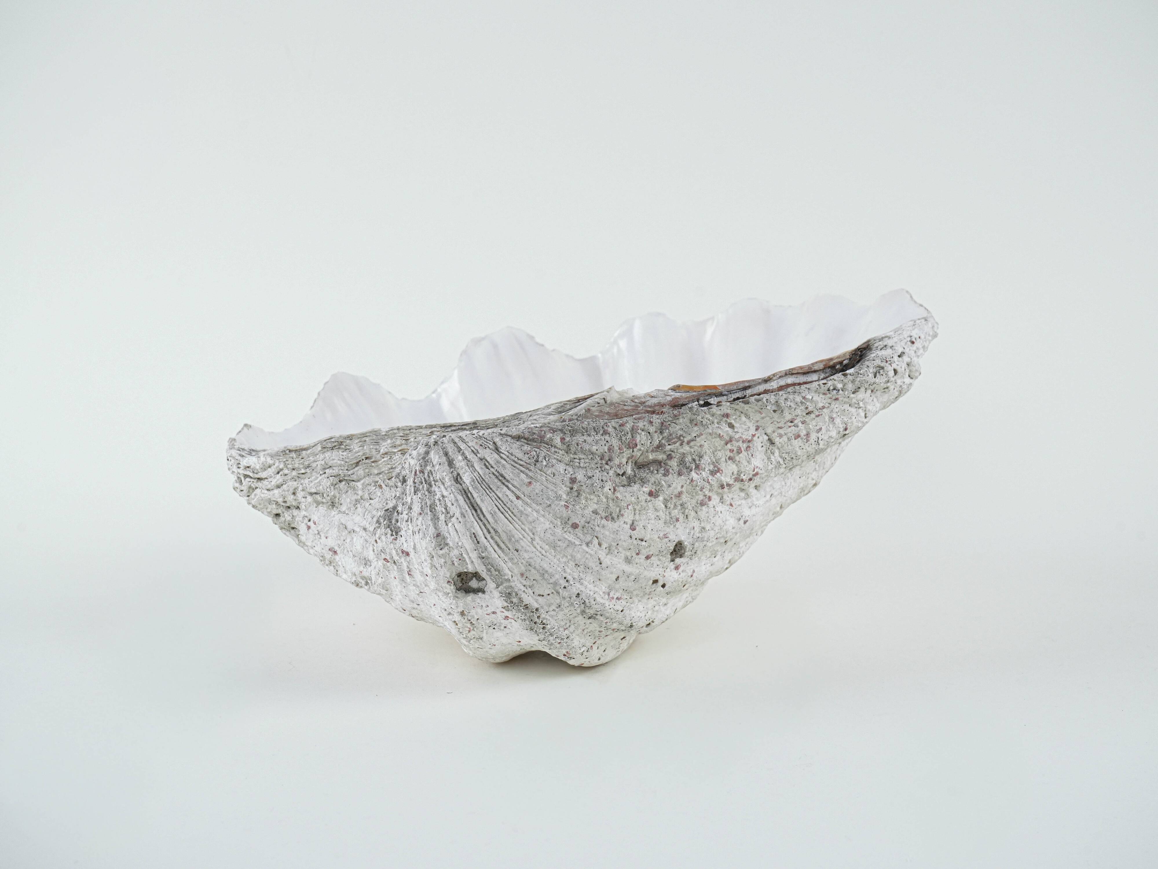 Decorative Tridacna seashell, boho style, 1980s