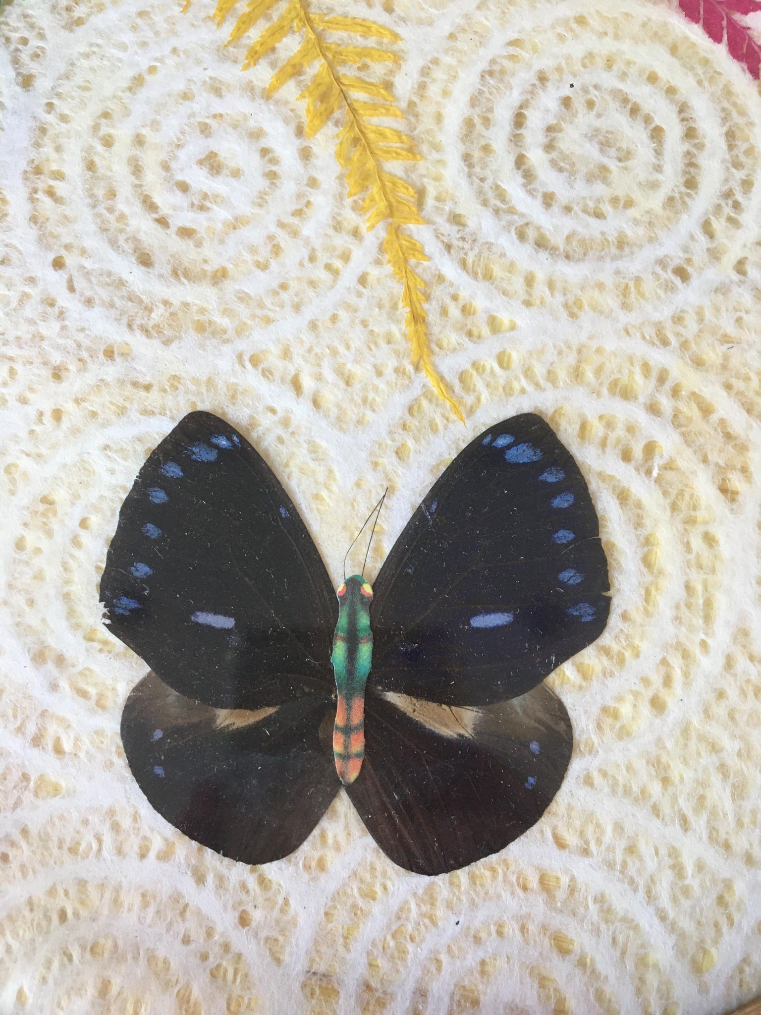 Vintage bamboo tray decorated with ferns and butterflies