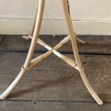 Rattan floor lamp