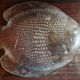 VINTAGE 70/80 FISH SERVICE - 7 PIECES IN MOULDED GLASS BY ARCOROC FR