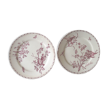 Old faience plates