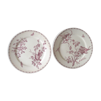 Old faience plates
