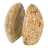 Pair of marble bookends