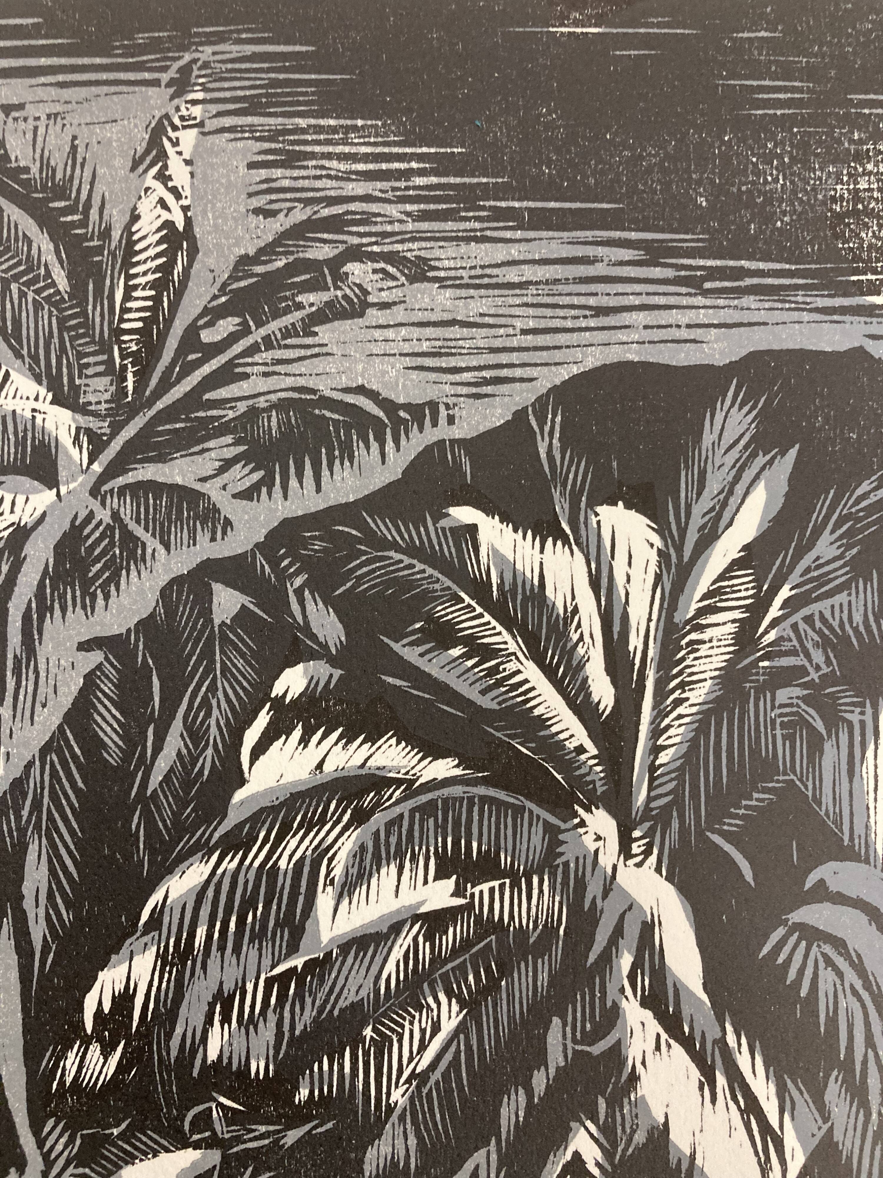 Illustration Le Bois des Cocotiers