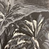 Illustration Le Bois des Cocotiers