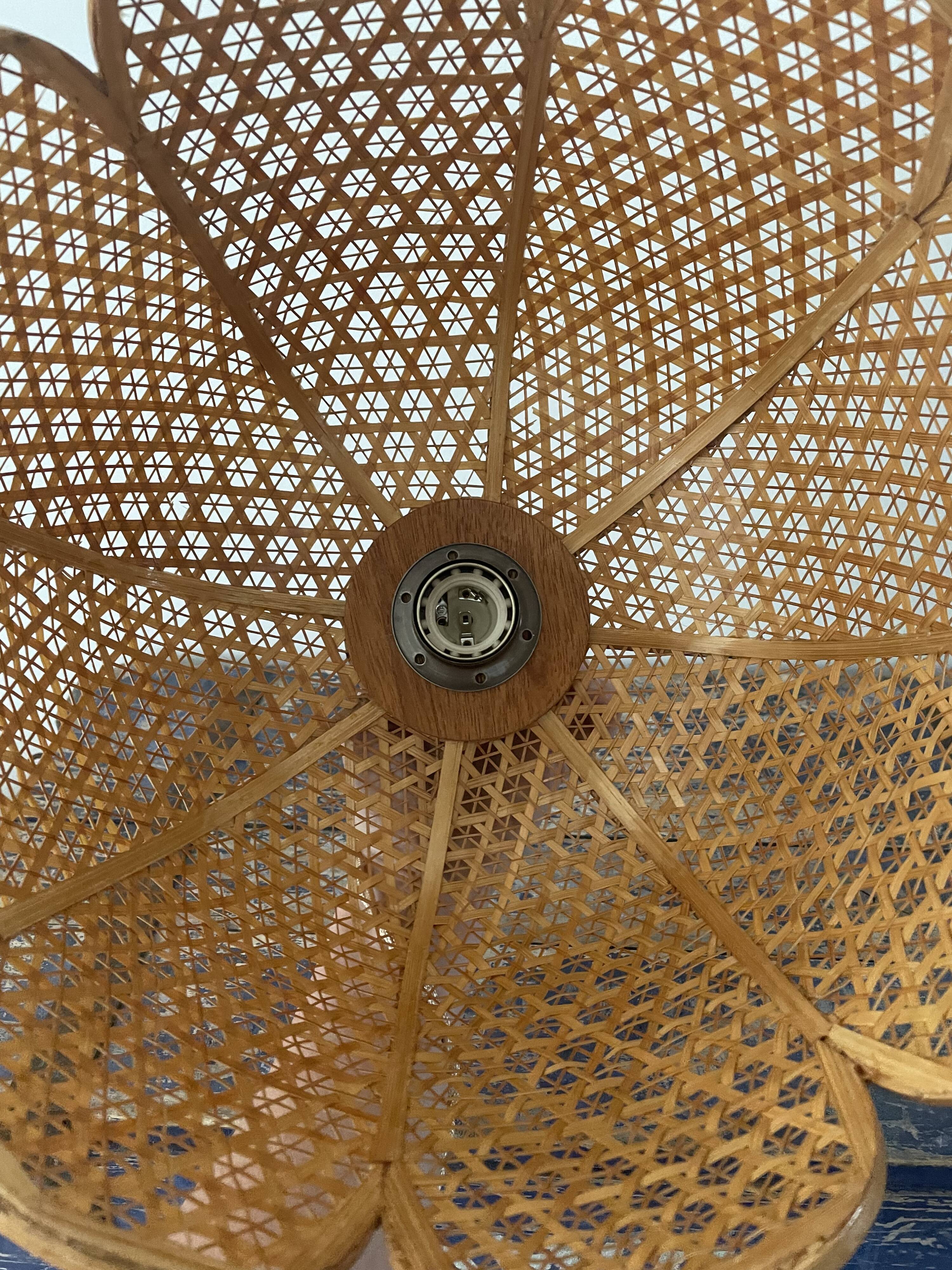 Electrified rattan suspension to nine