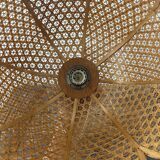 Electrified rattan suspension to nine