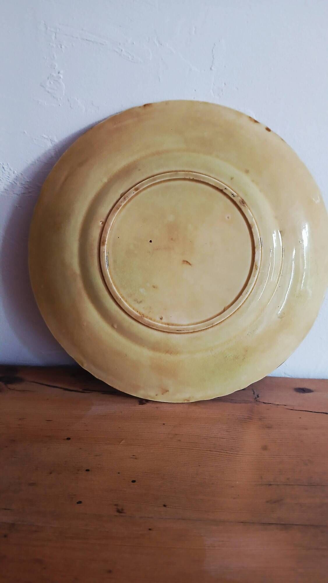 Majolica barbotine plate, French