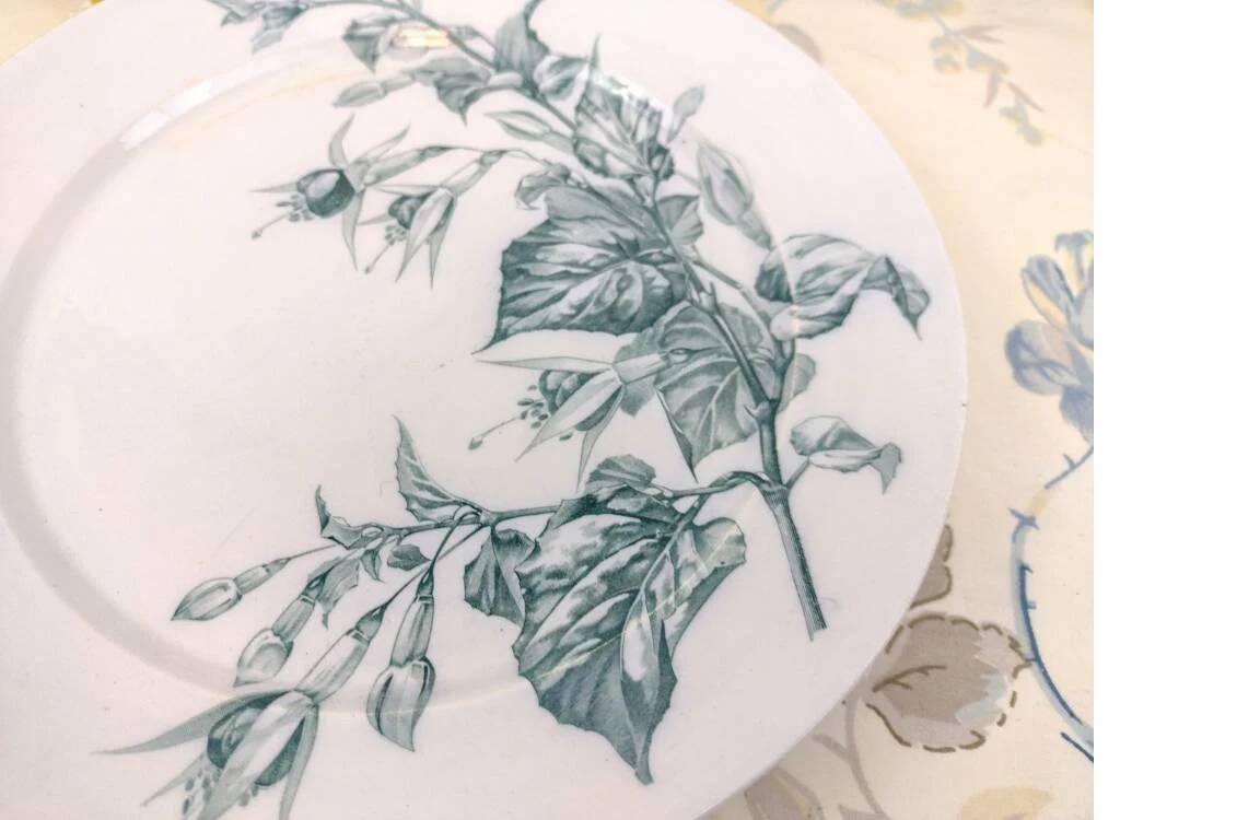 Sarreguemines “Fushia” Foot Shower Plate