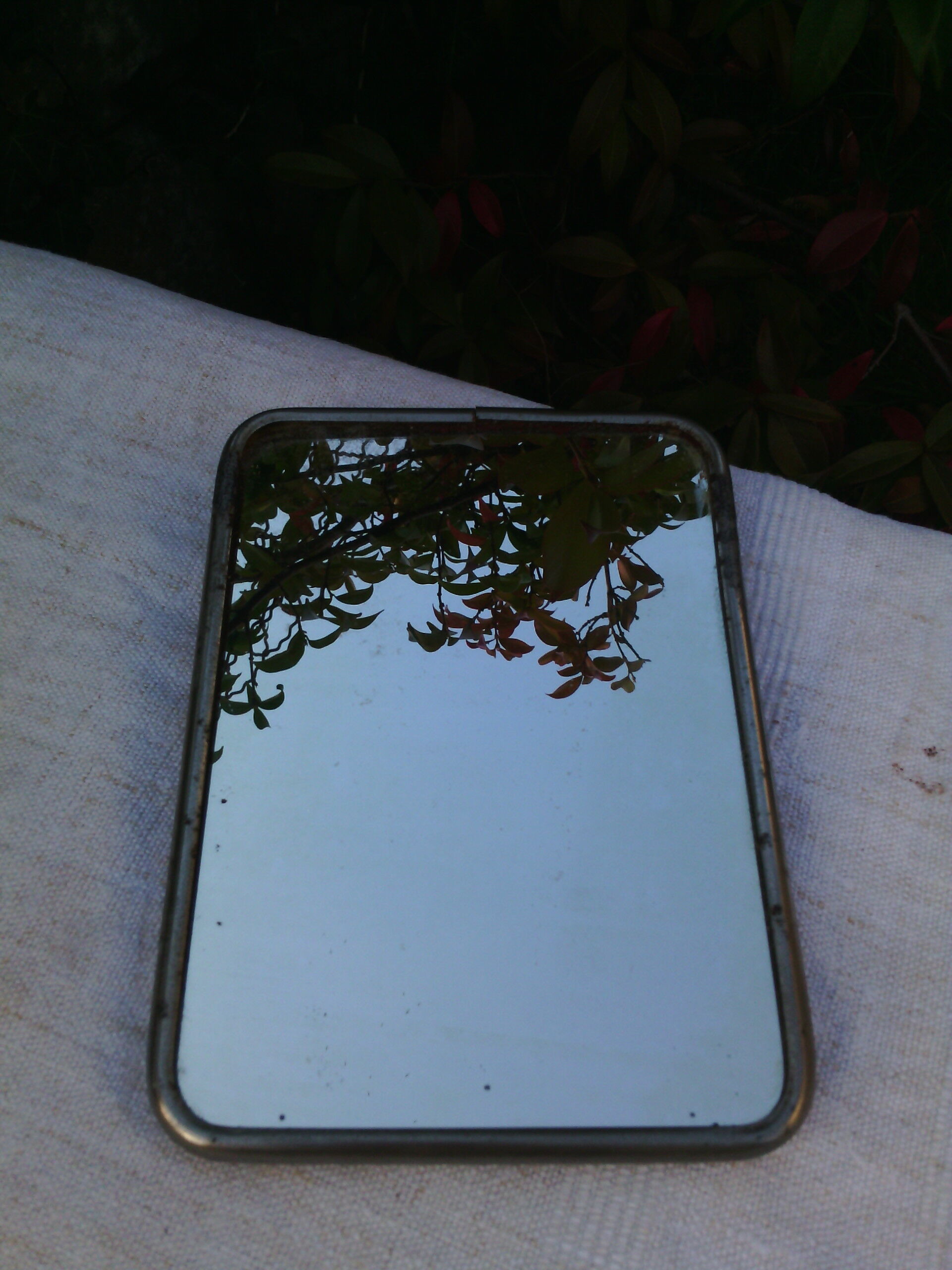 Mirror of the Barber