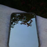 Mirror of the Barber