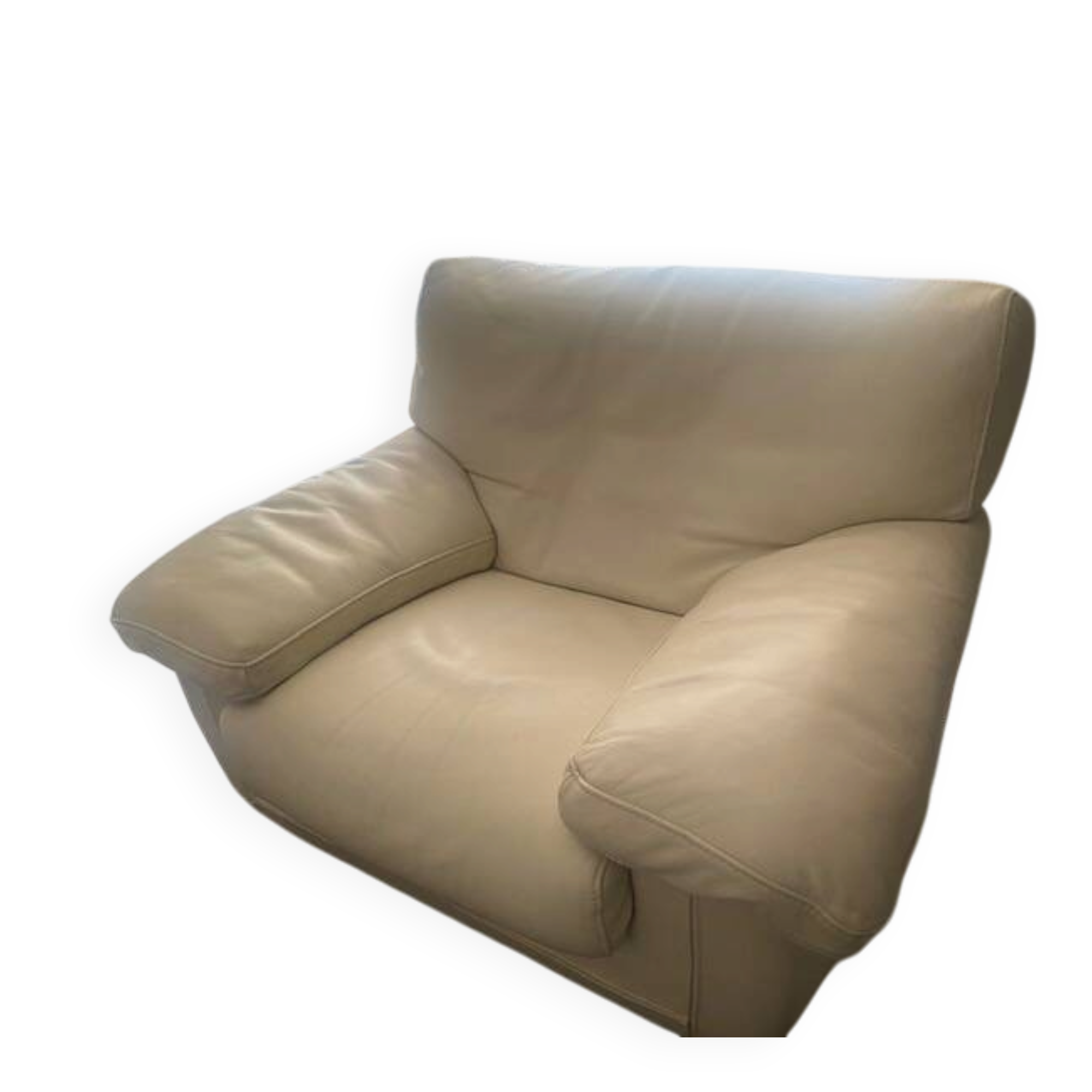 Roche Bobois sofa