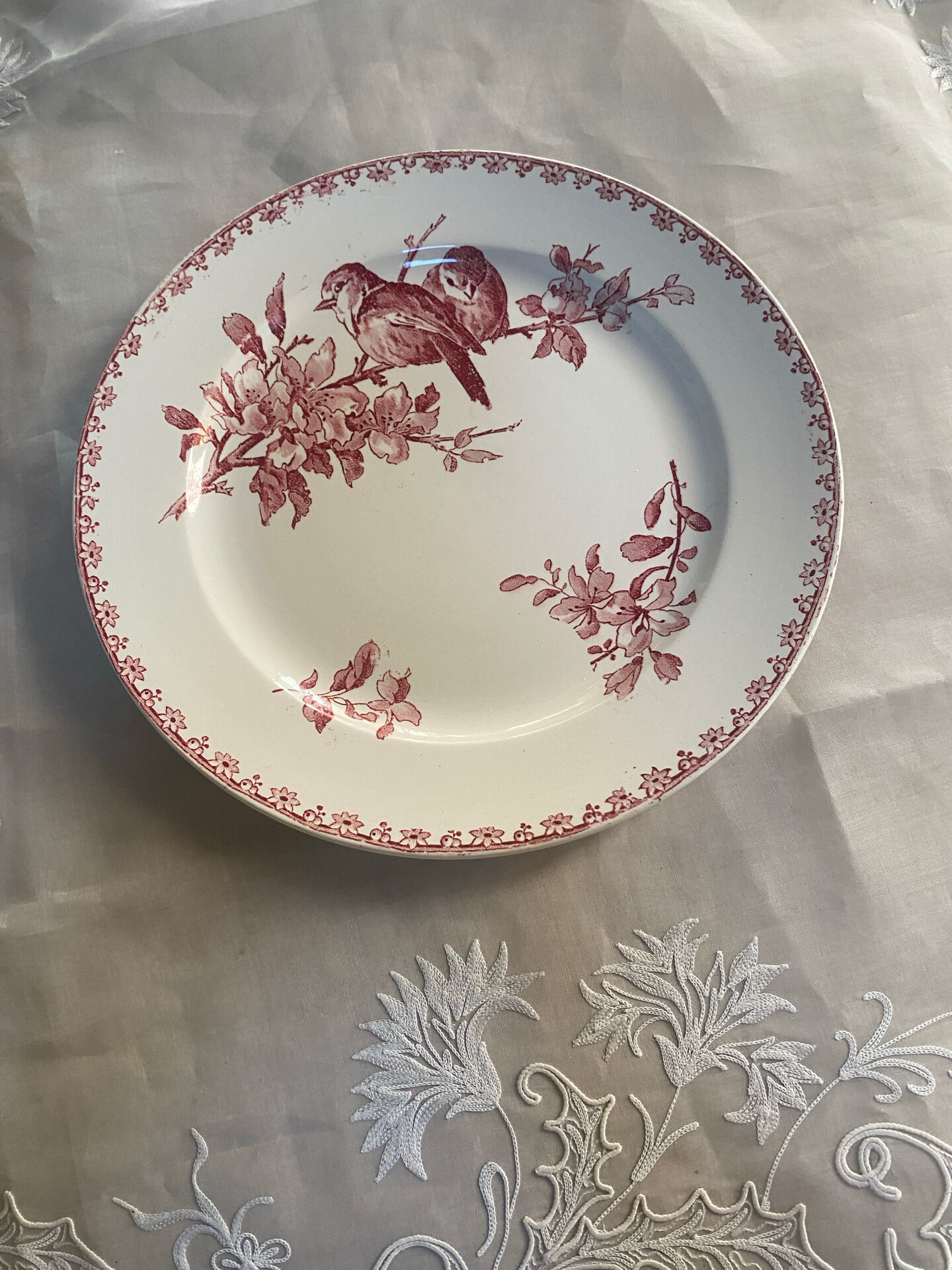 Flat plate model Favori from Sarreguemines