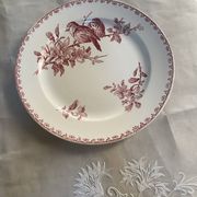 Flat plate model Favori from Sarreguemines