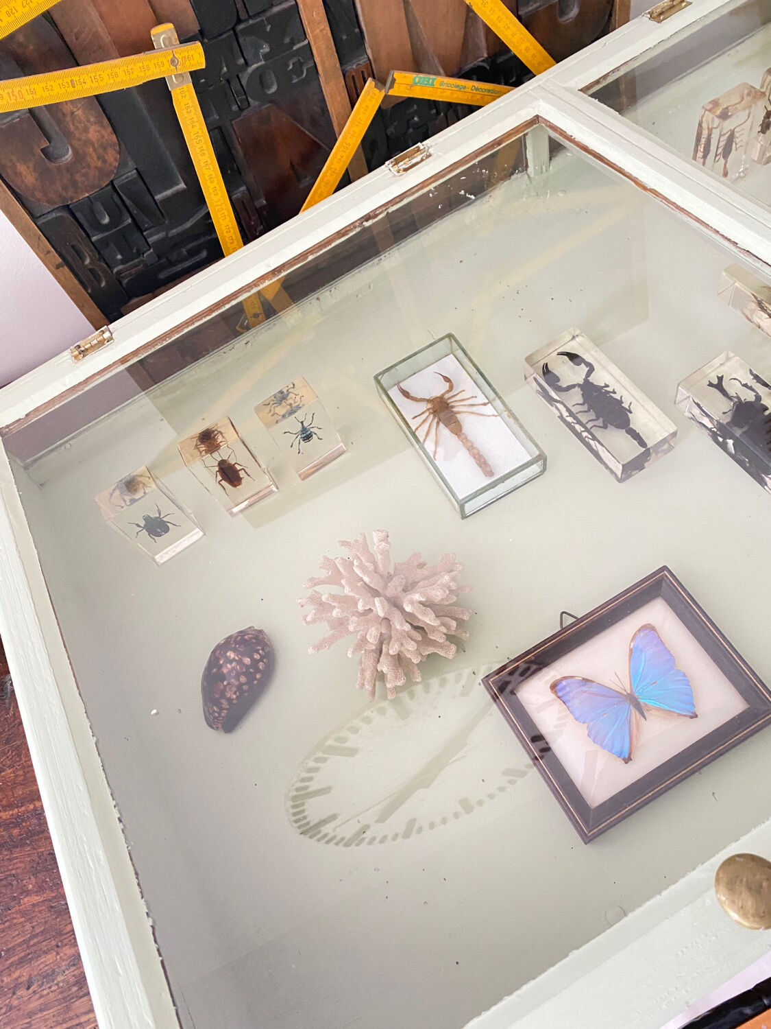 Display case with double glass