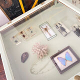 Display case with double glass