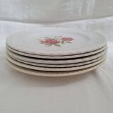 Vintage blue pink dinner plates
