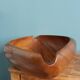 Fruit bowl pocket emptying in Monkey Pod Wood, Philippines